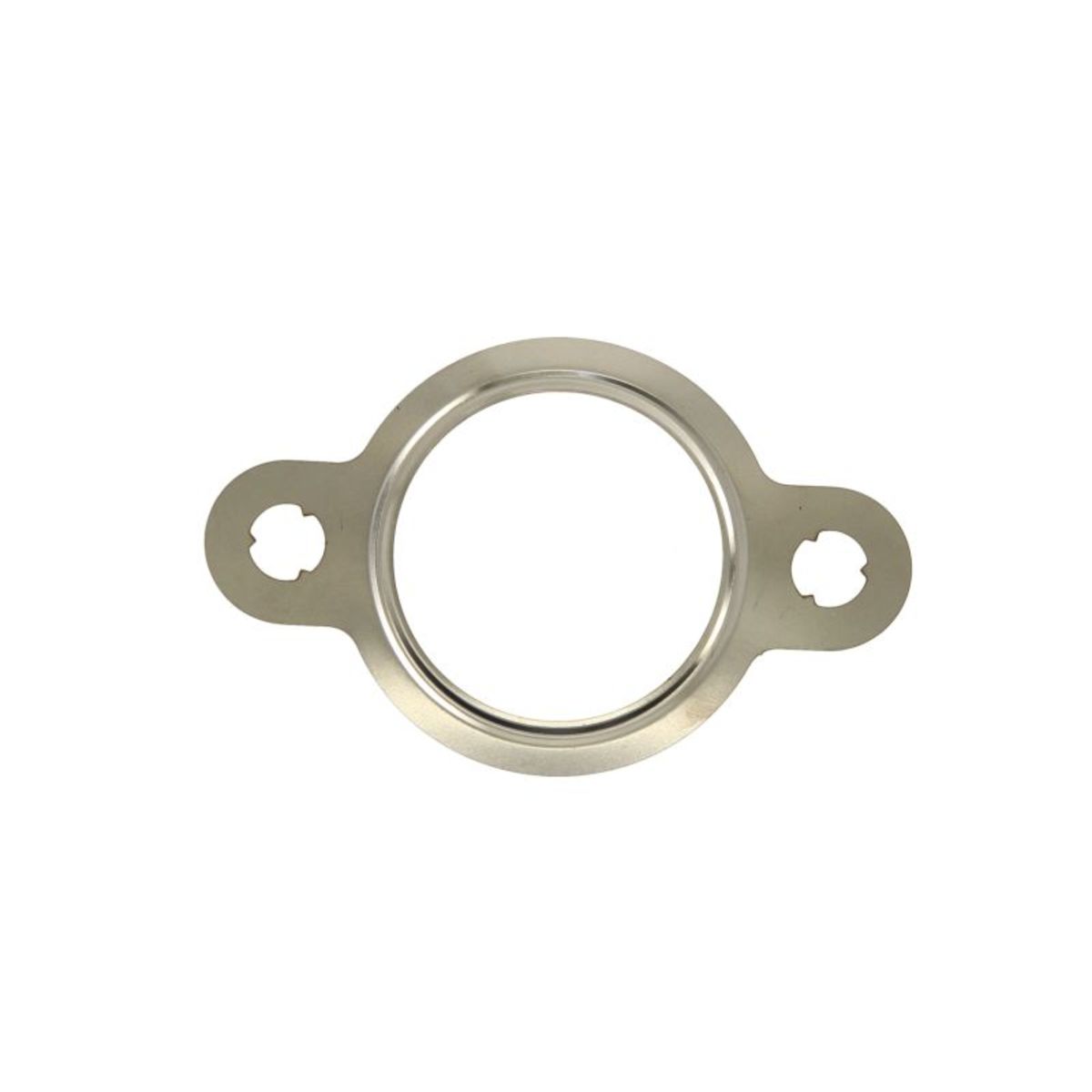 Reinz Pakking, uitlaatspruitstuk  71-41449-00