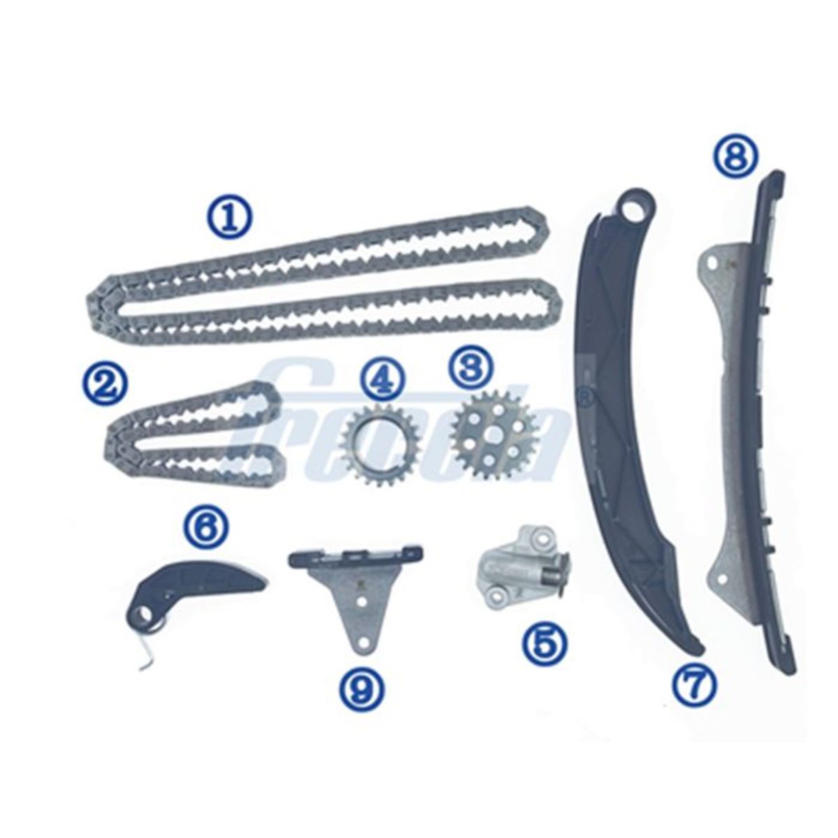 Steuerkettensatz FRECCIA TK08-1248
