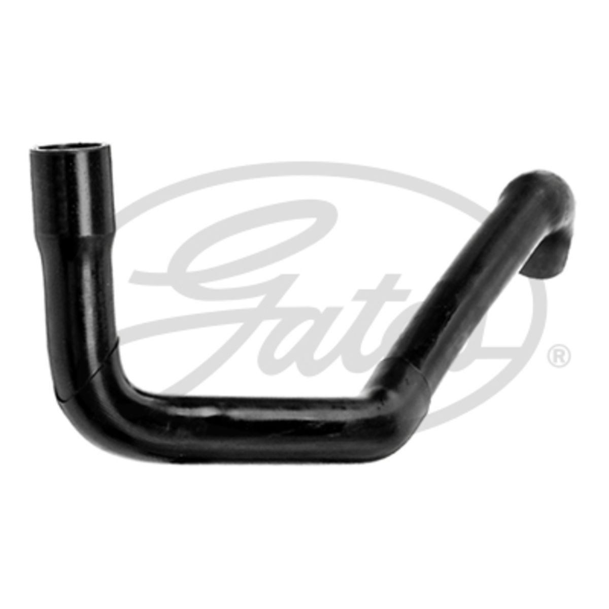 Image of Radiatorslang