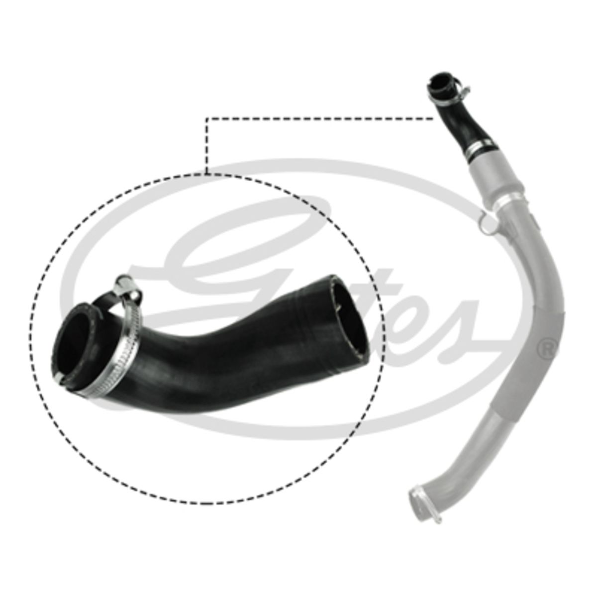 GATES 09-0622 Manicotto Turbina Policloroprene (Neoprene) - Immagine 4