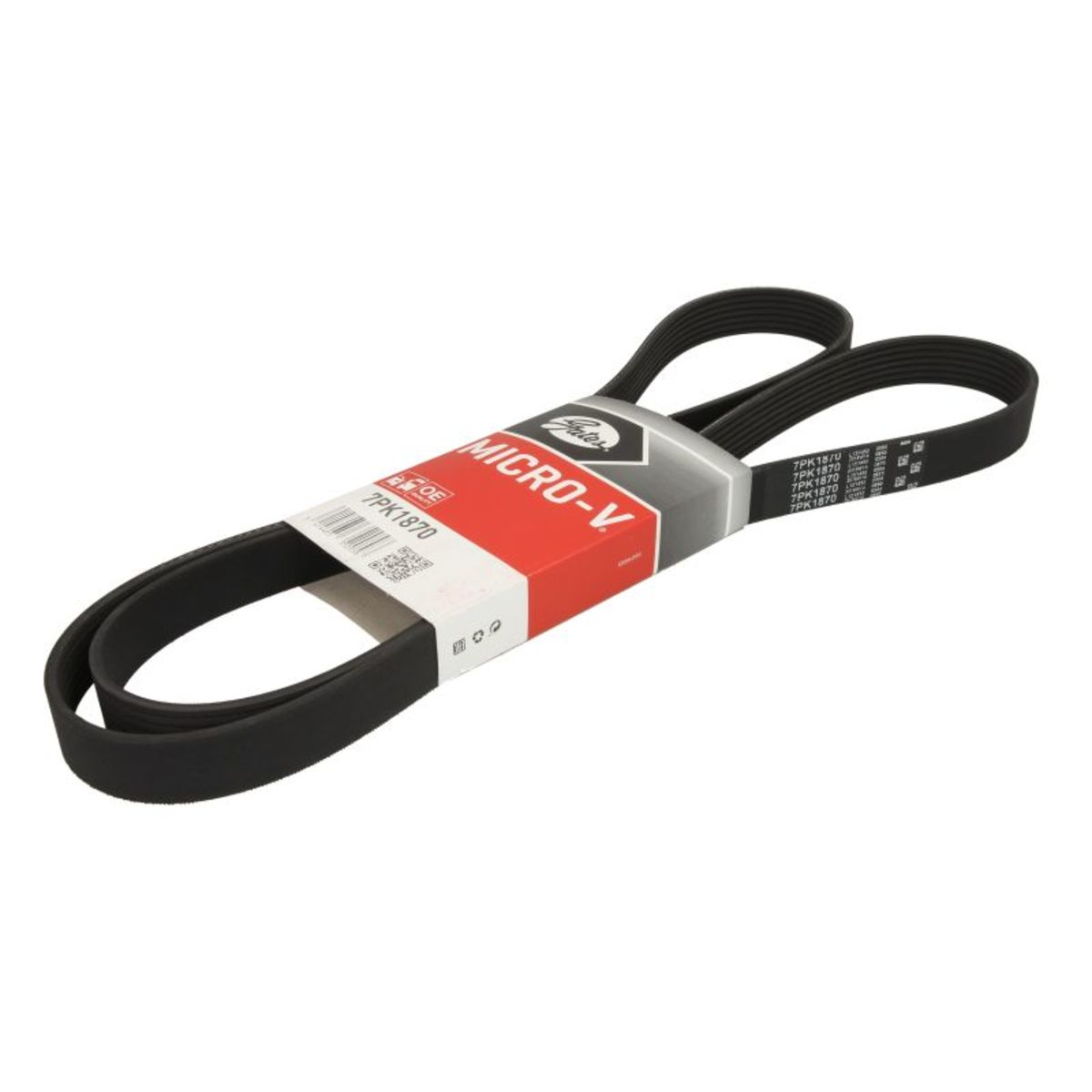 Nero Cinghia Poly-V Gates 7Pk1870