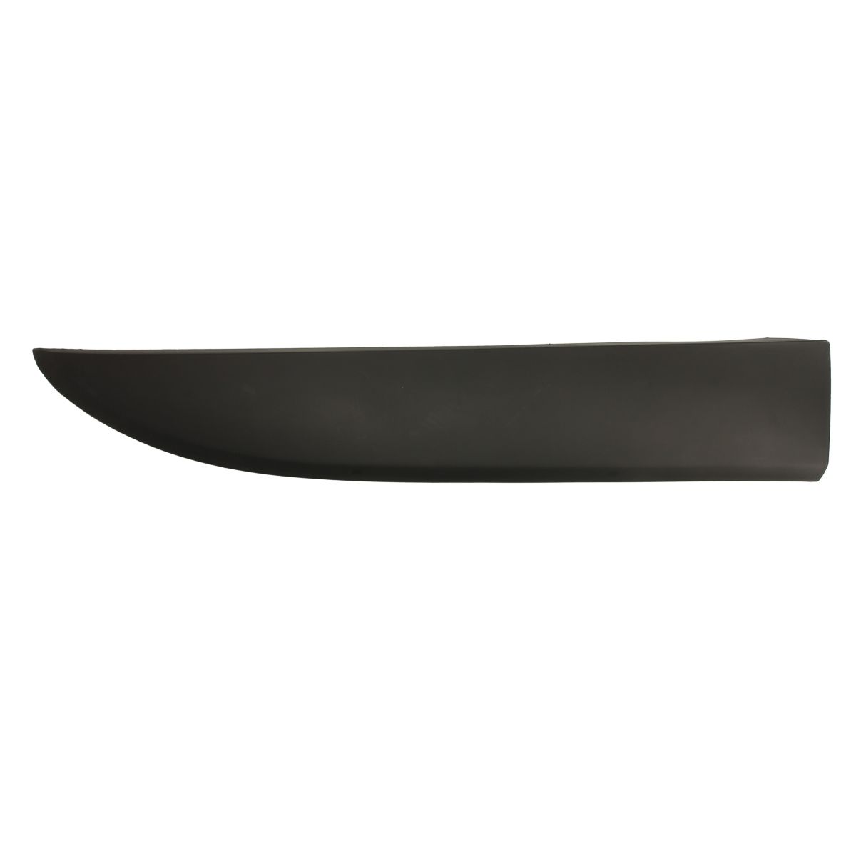 Image of Spatbordafwerking/beschermstrip