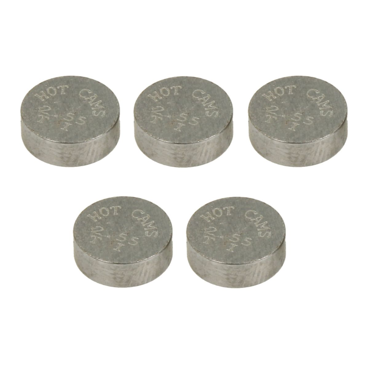4 RIDE PZ748255/5 valves and valve plates