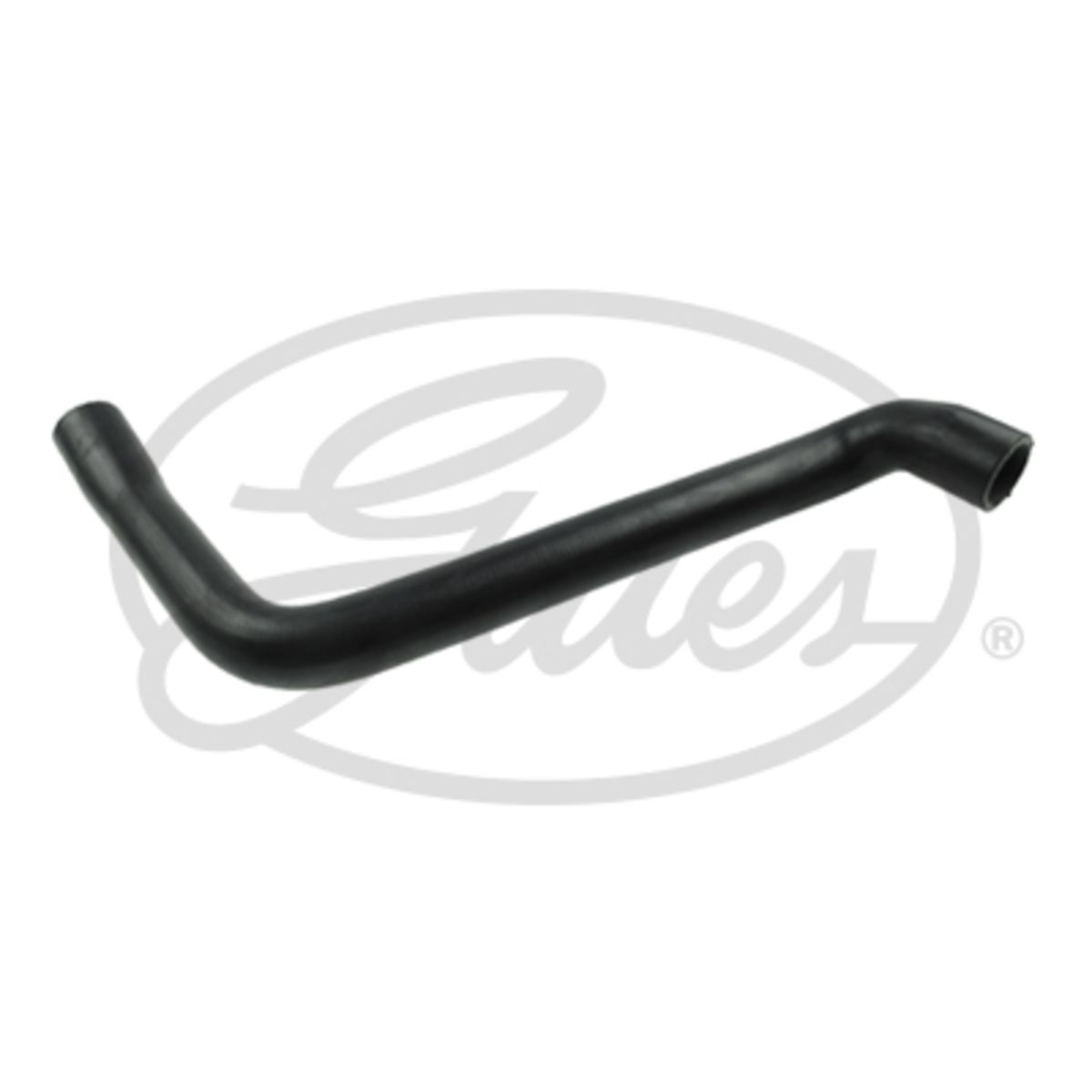 Image of Radiatorslang