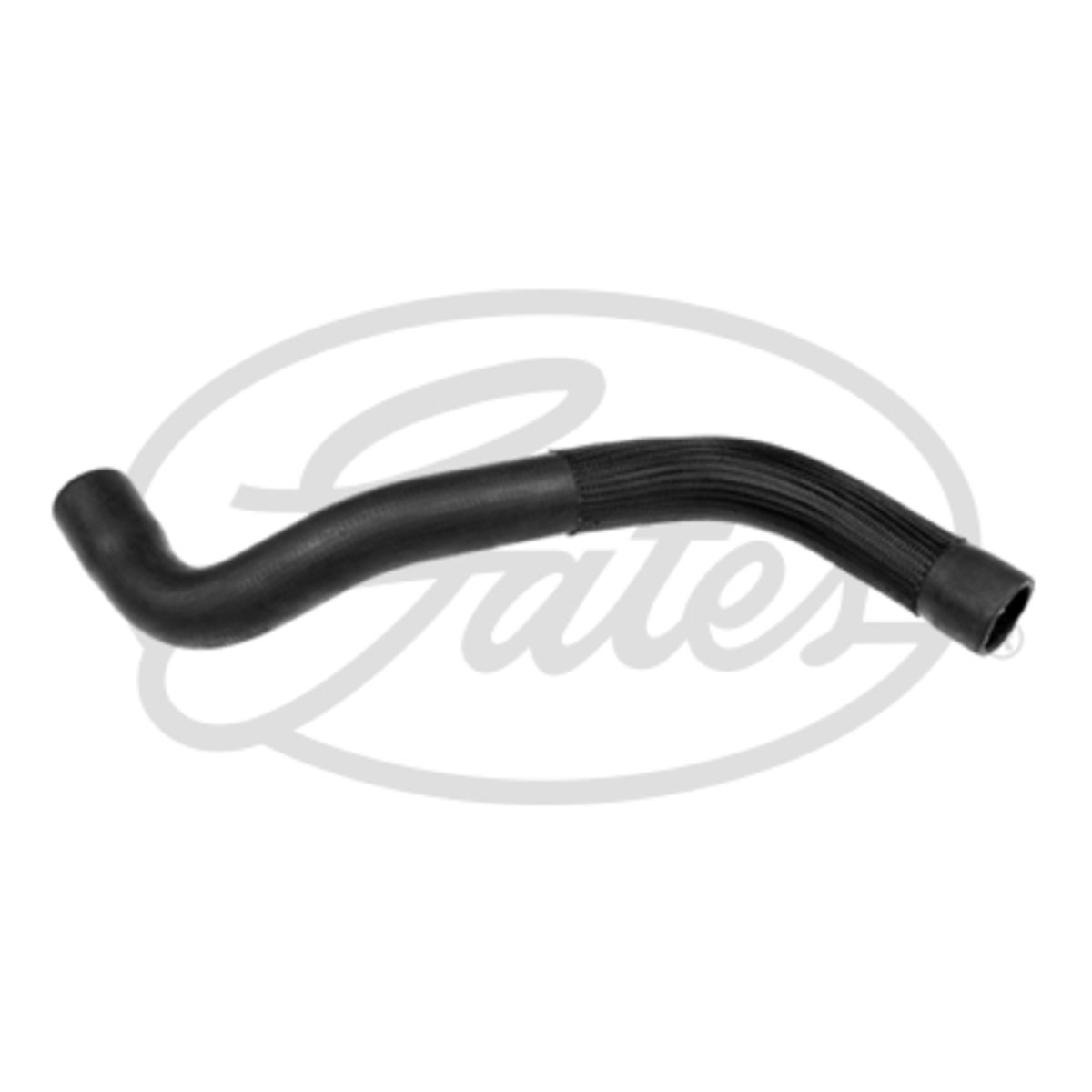 Image of Radiatorslang