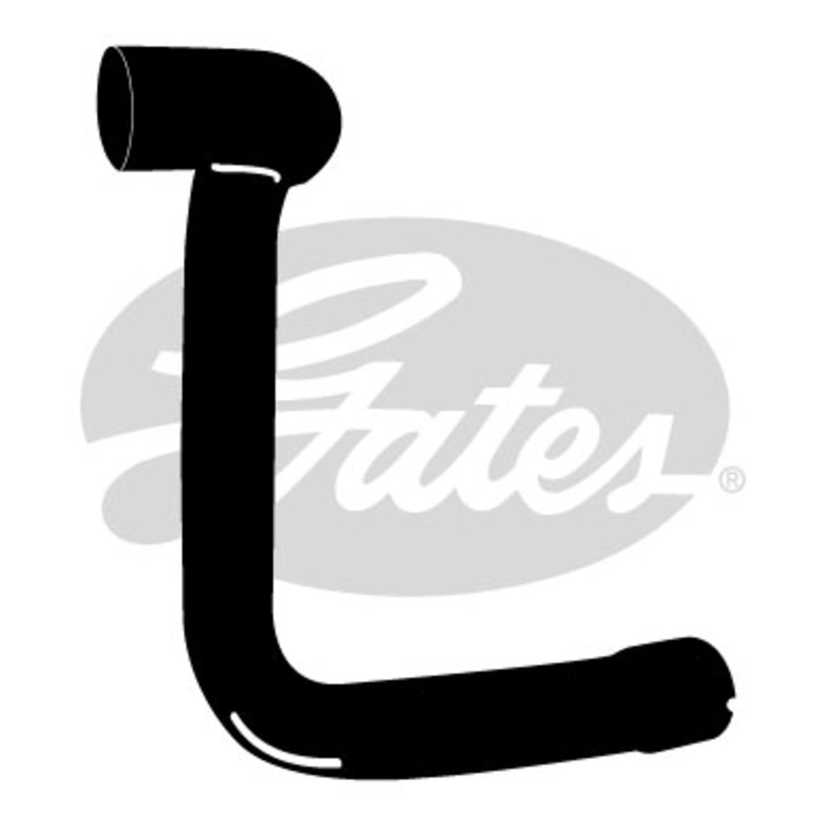 Image of Radiatorslang