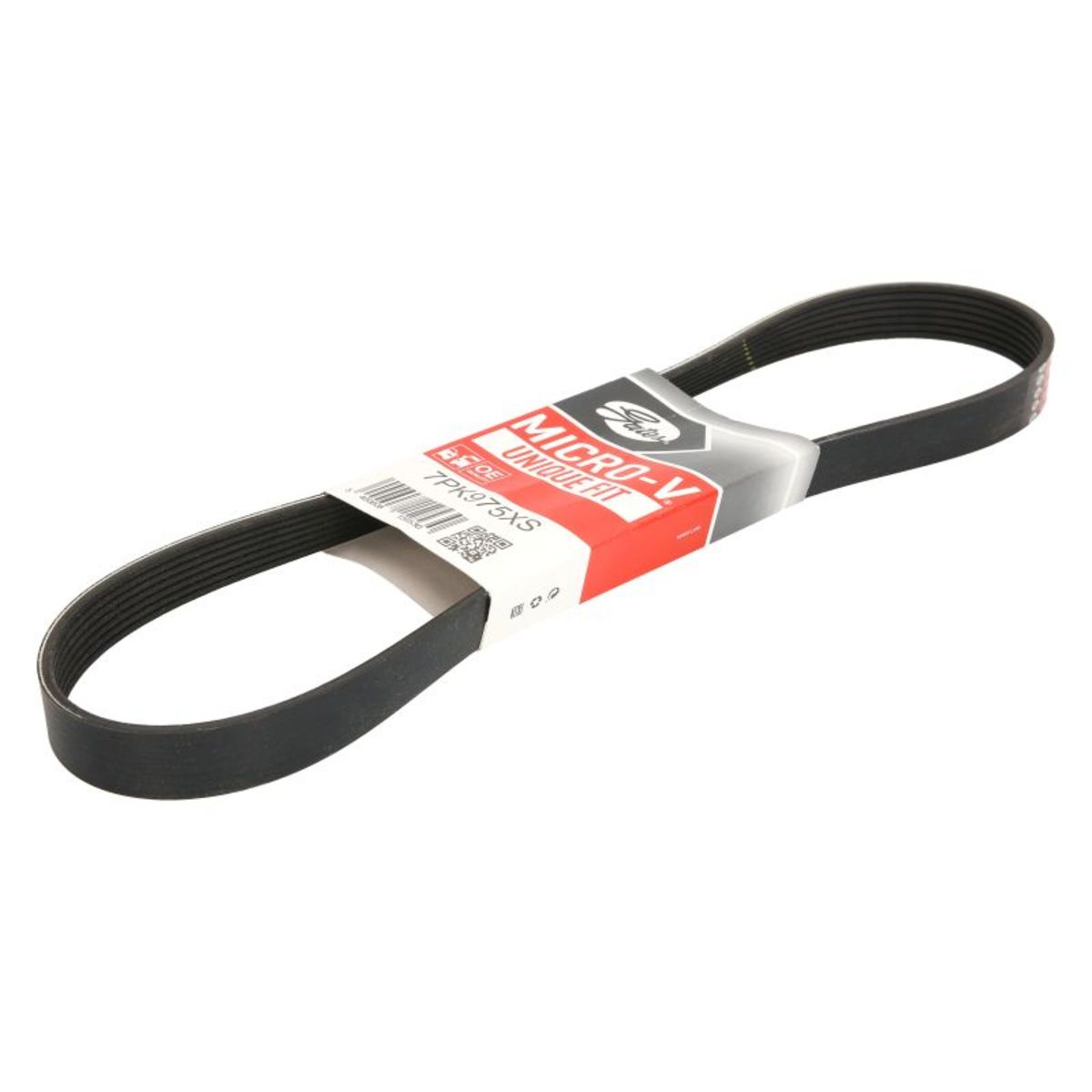 Negro Correa Poly V Gates 7Pk975xs