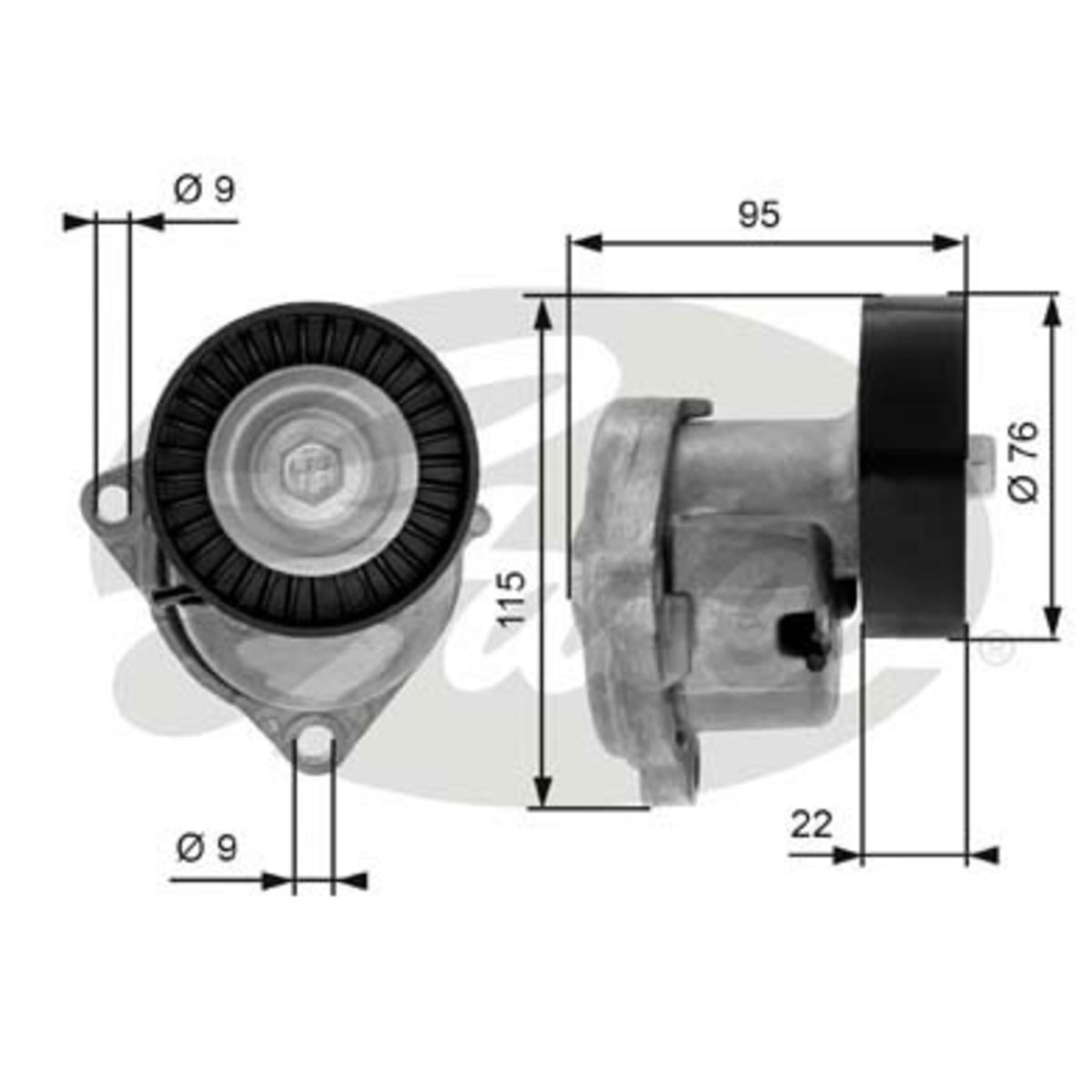 Image of Spanpoelie, V-riem
