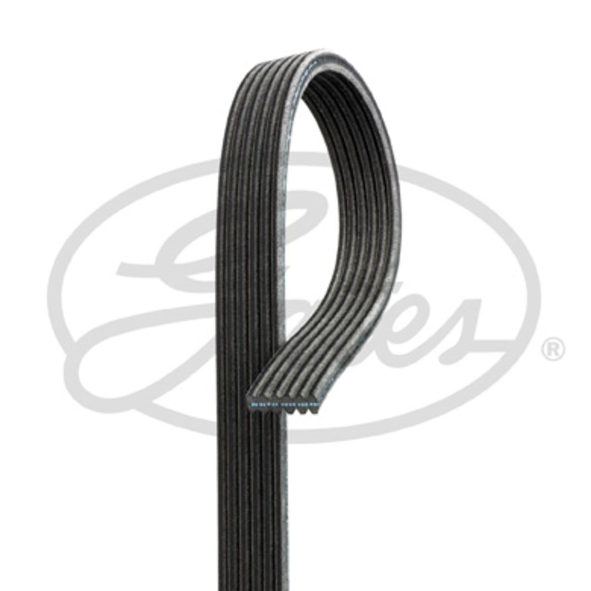 Image of Poly V-riem Micro-V®