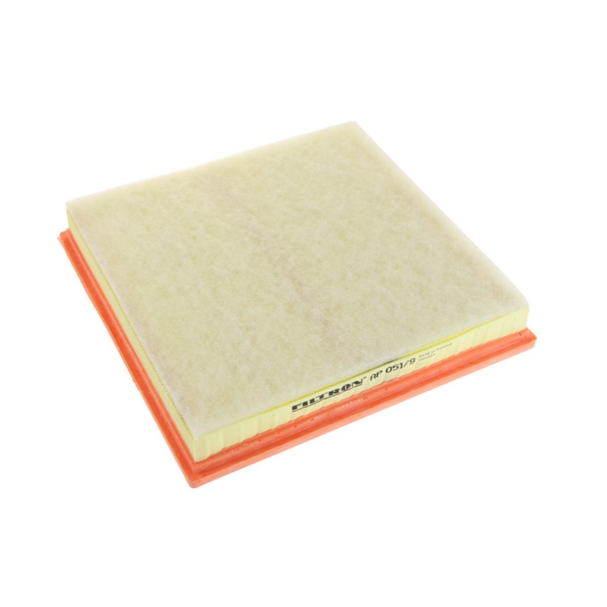 Filtron Filtro Aria Ap051/9