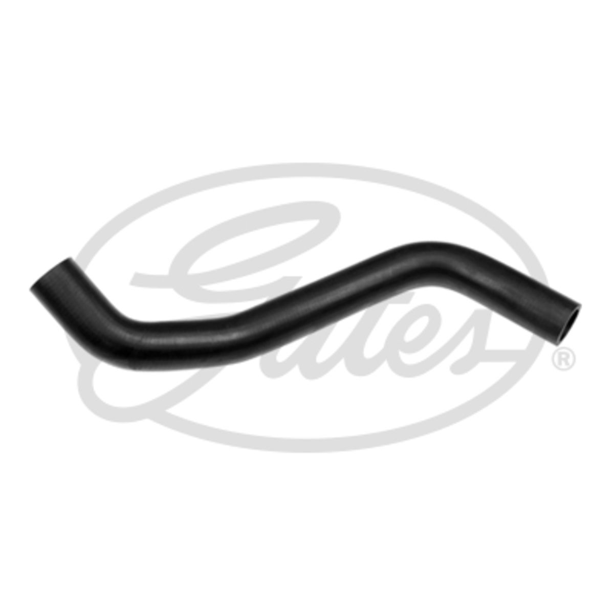Image of Radiatorslang
