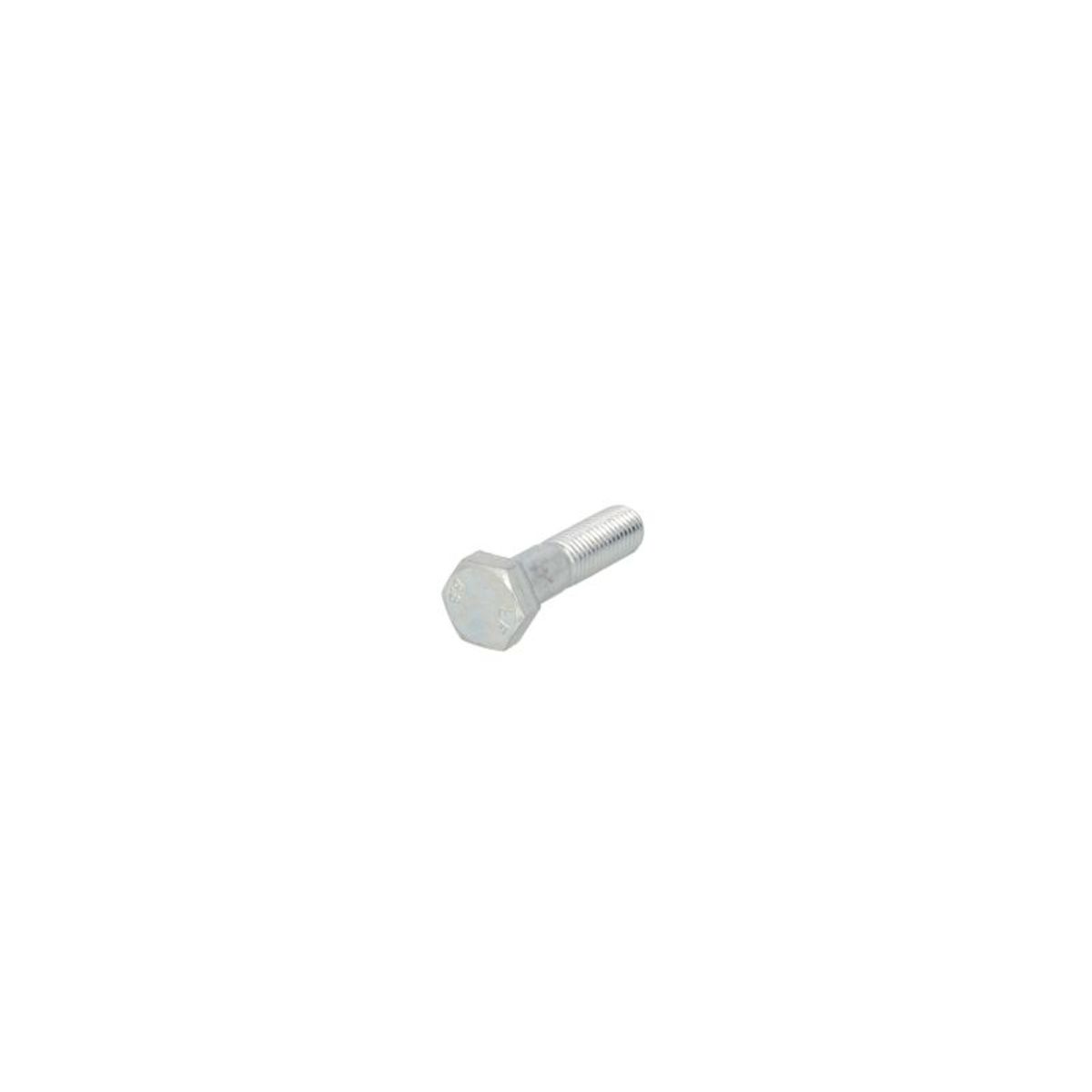 Image of Schroef, zeskantig, gegalvaniseerd  M14X2/60-1