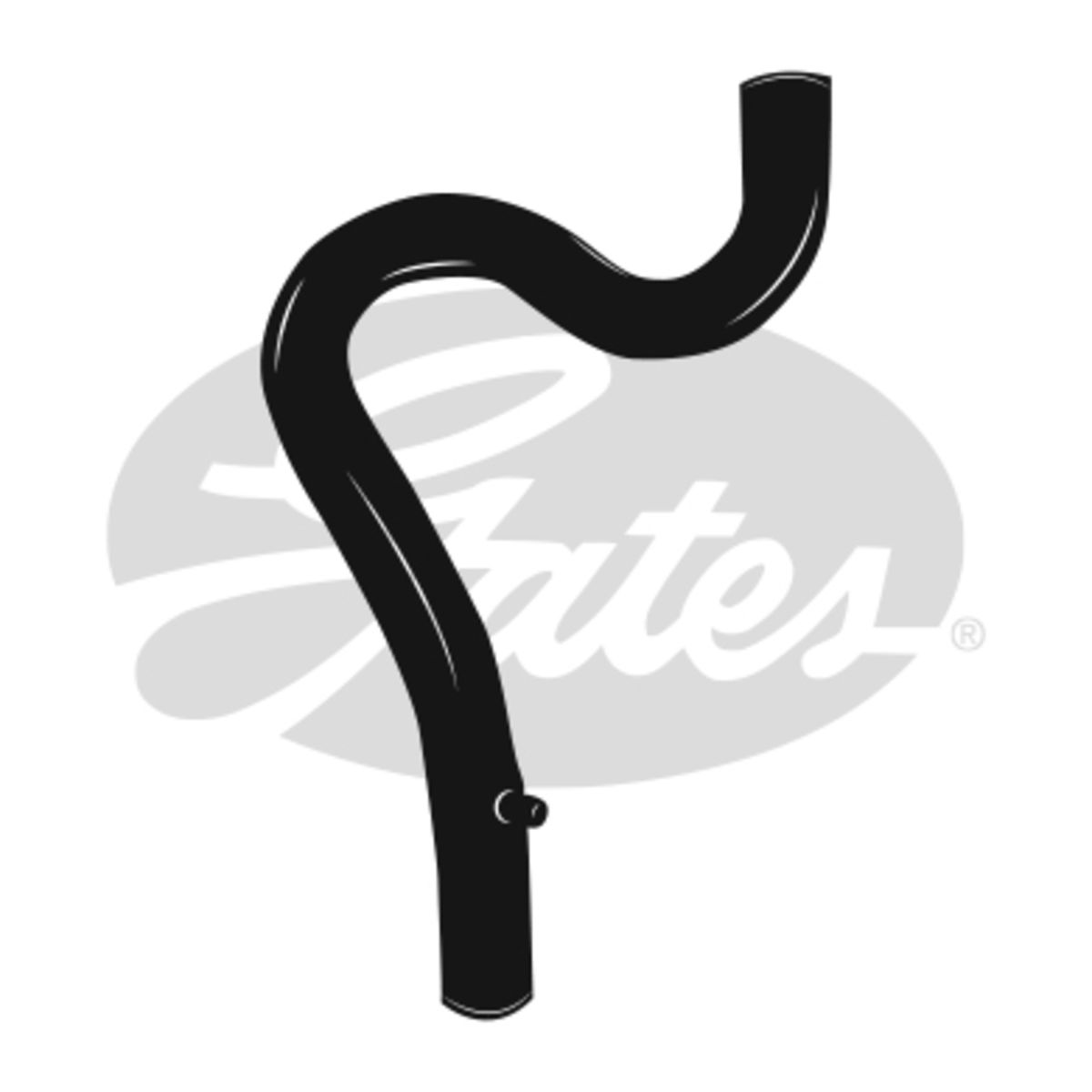 Image of Radiatorslang