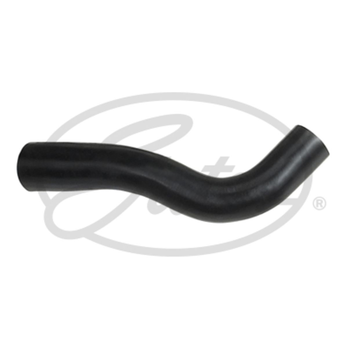 Image of Radiatorslang