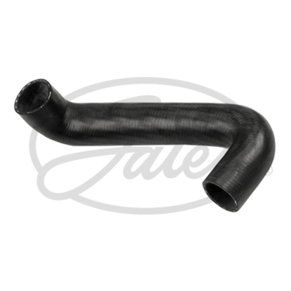 Image of Radiatorslang