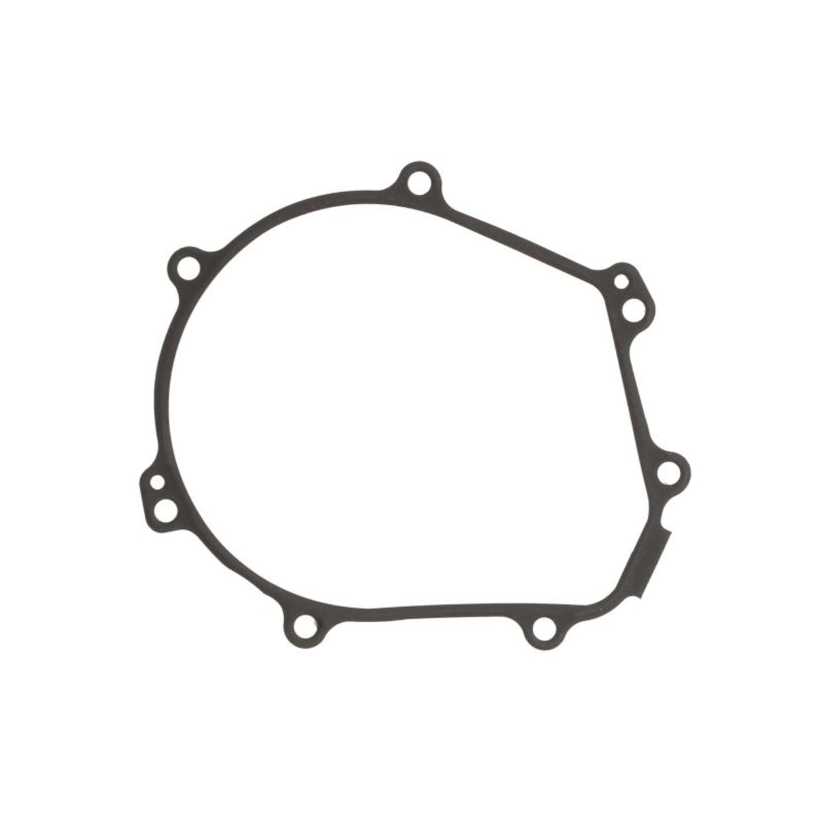Generatordeckeldichtung WINDEROSA 816299