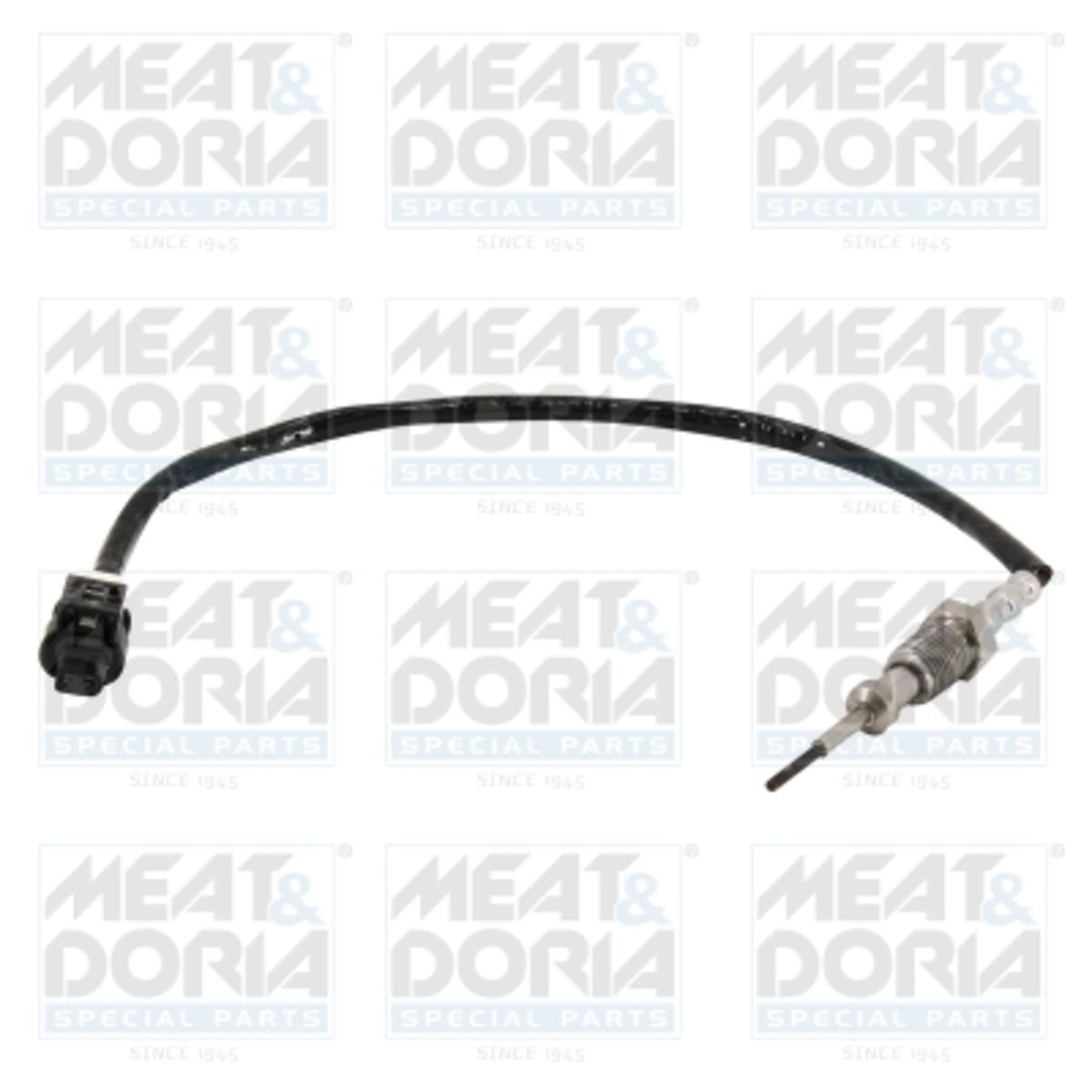Meat & Doria Sensor, Abgastemperatur 12476