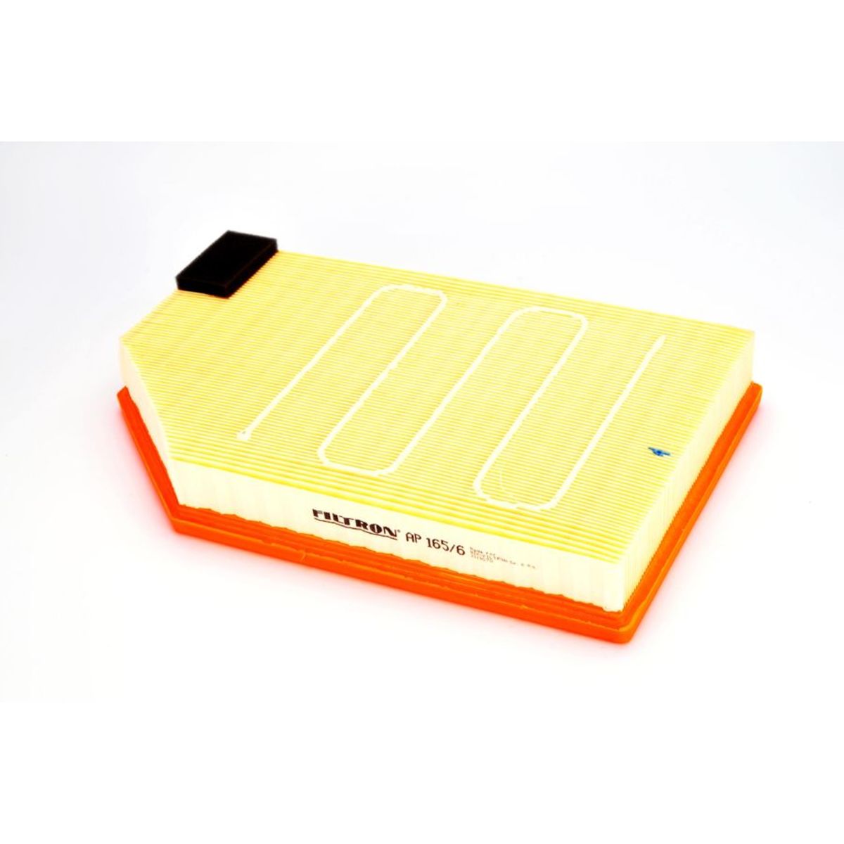 Filtron Filtro Aria Ap165/6