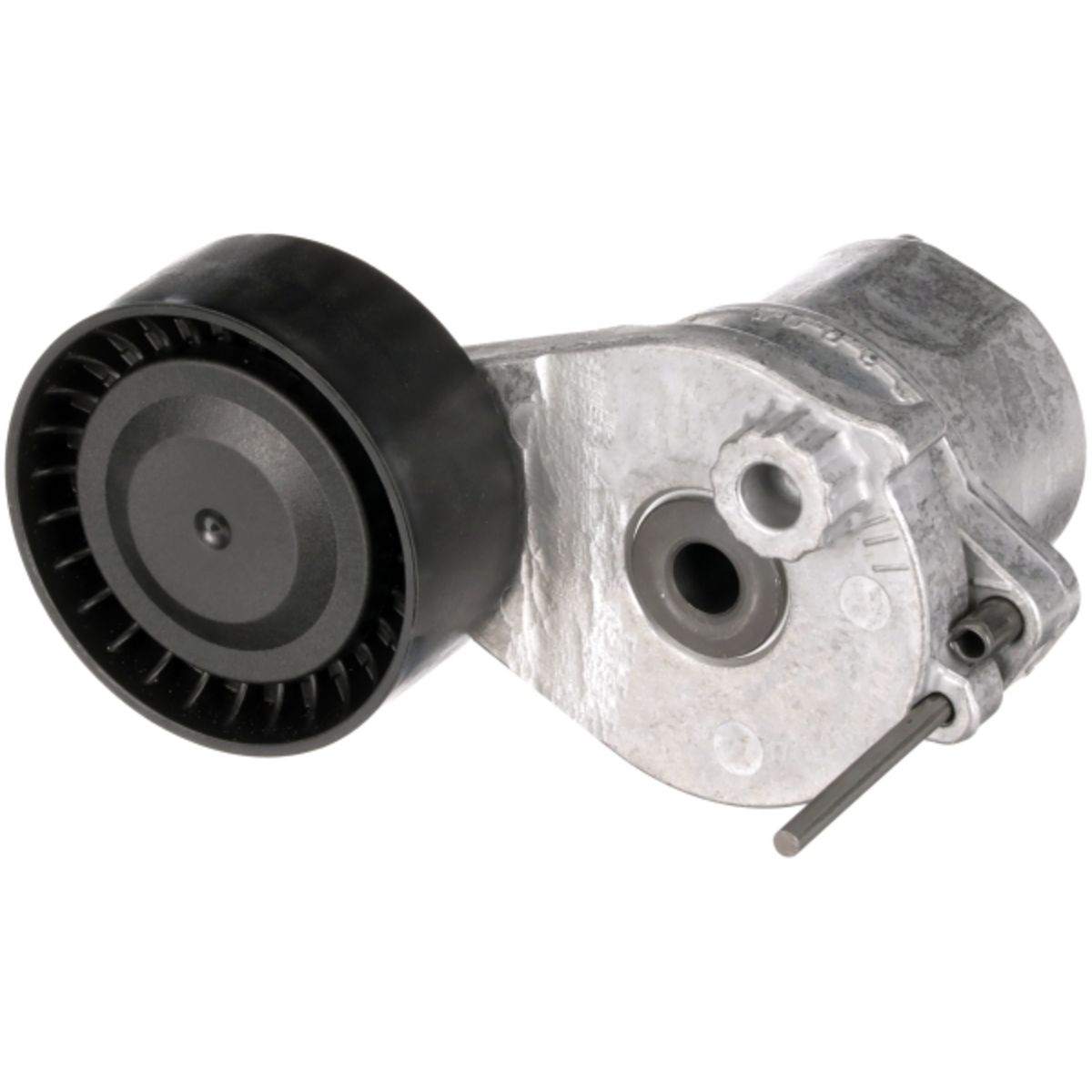Image of Spanpoelie, V-riem  GAT
