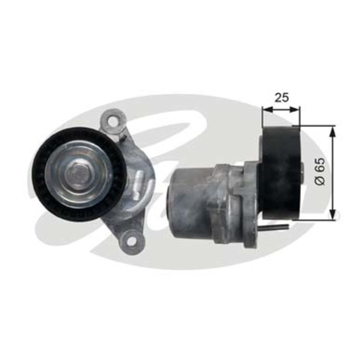 Image of Spanpoelie, V-riem