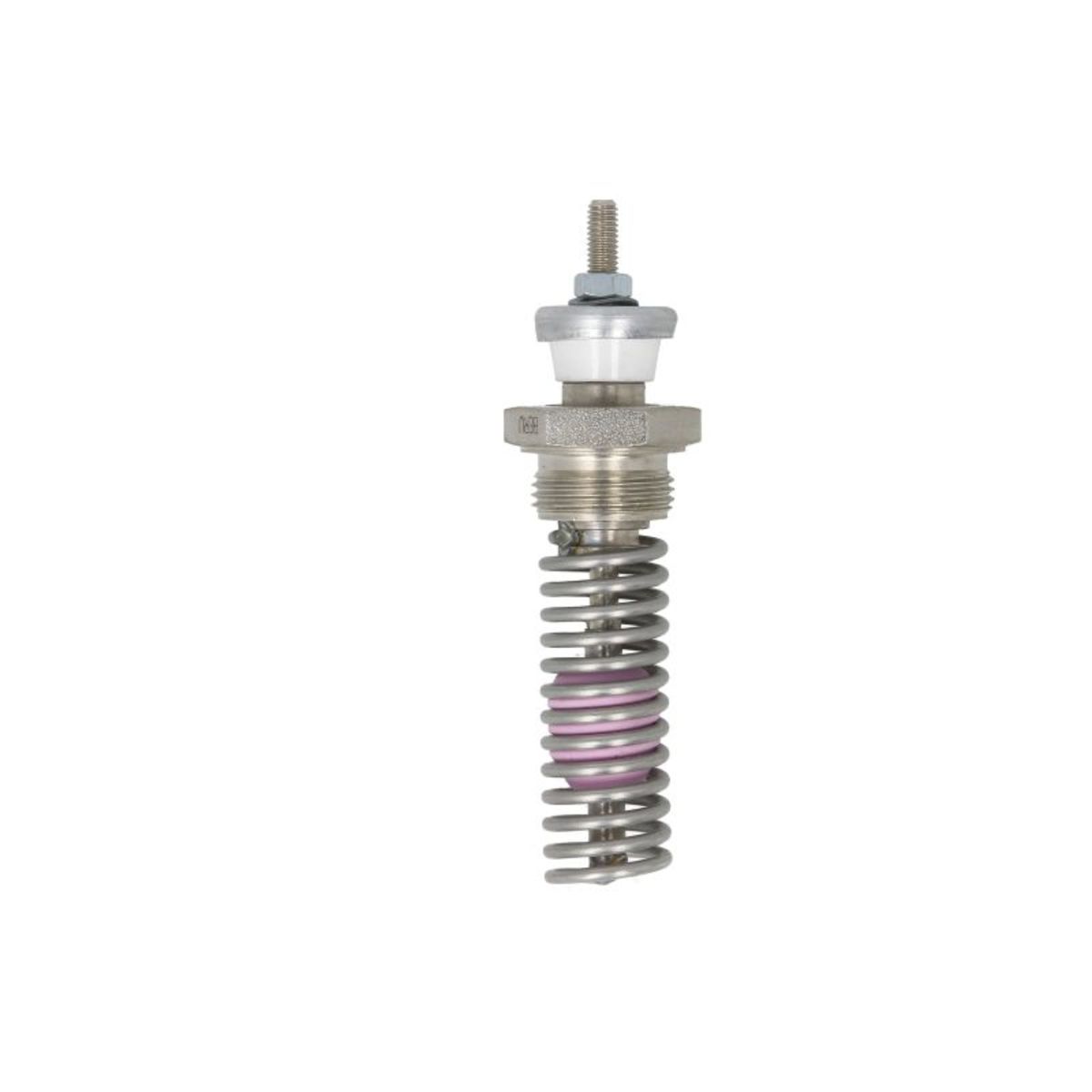 Image of Gloeibougie BORG WARNER (BERU)