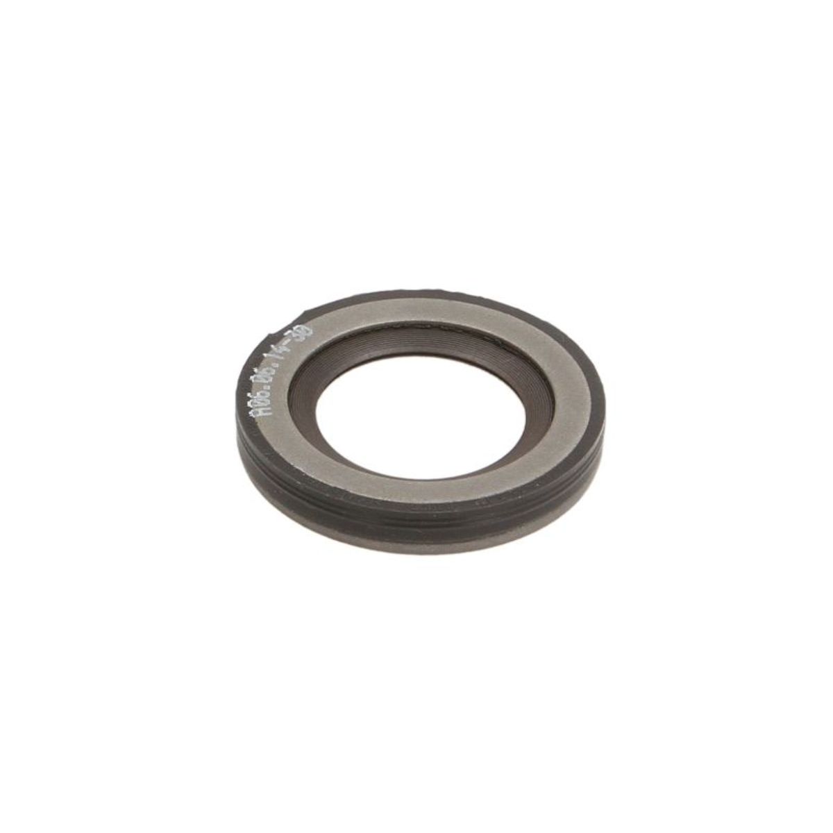 Delphi Element, Common-Rail Pumpe 28216803