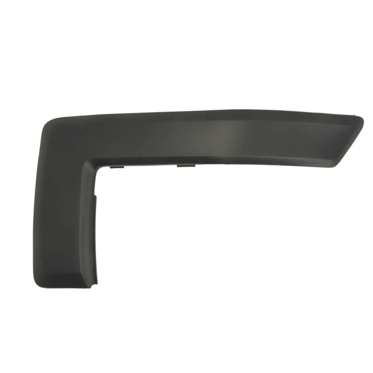 Blic Modanatura Decorativa/Protettiva, Paraurti 5703-05-2576921P Sinistro