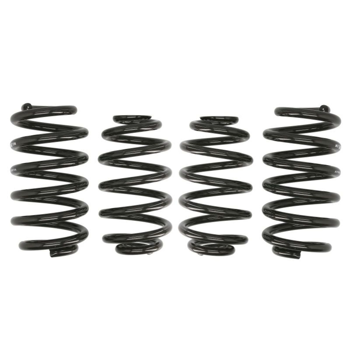 Ressorts EIBACH Pro Kit E10-15-003-02-22