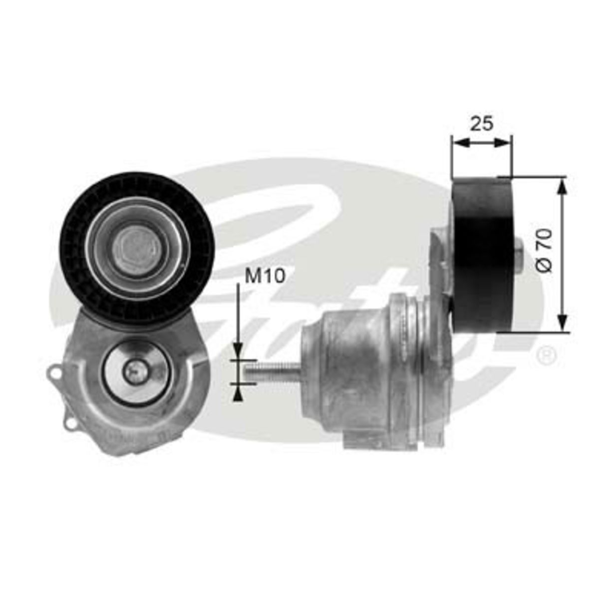 Image of Spanpoelie, V-riem