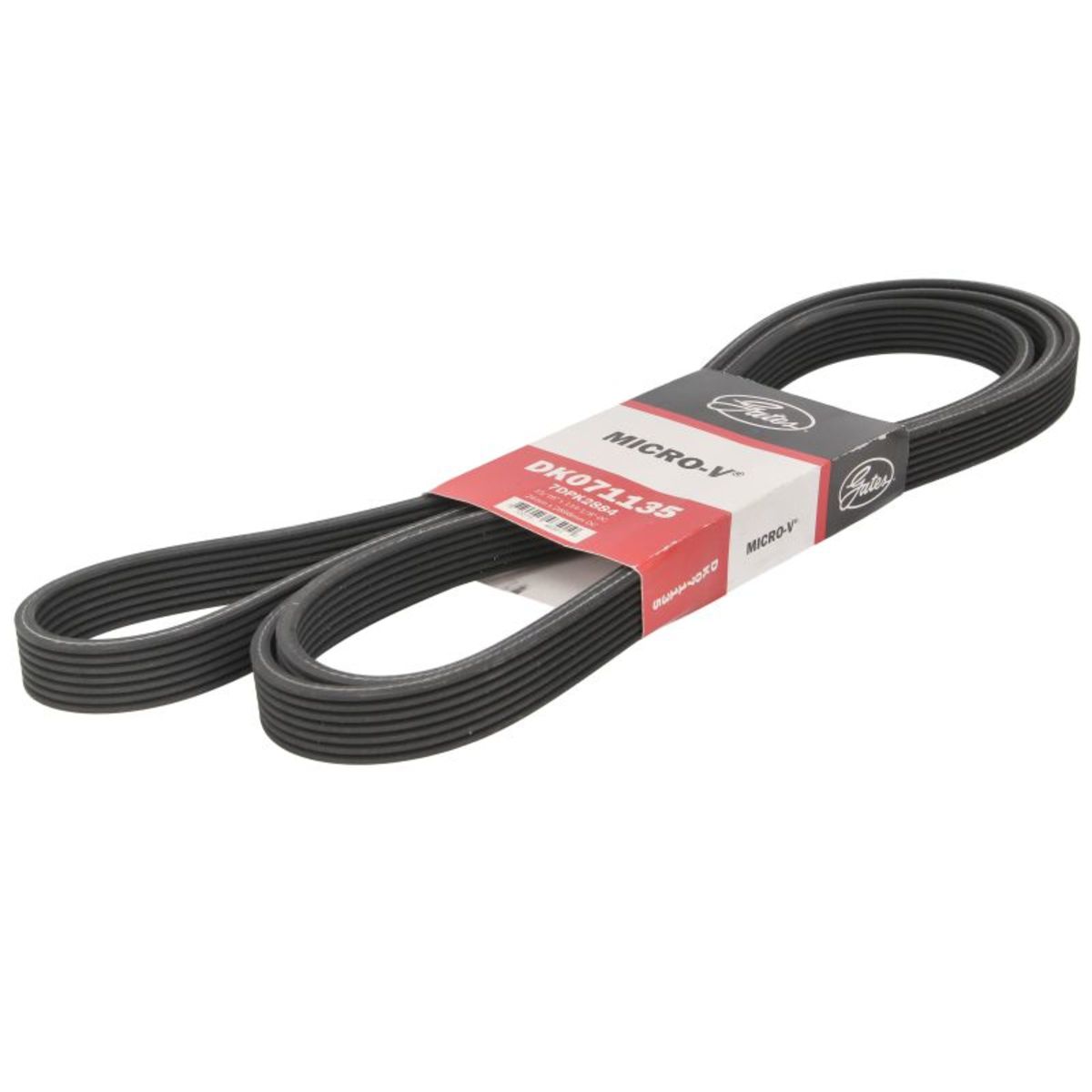 Nero Cinghia Poly-V Gates 7Dpk2884