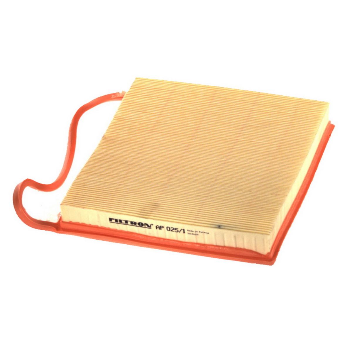 FILTRON AP 025/1 Filtro aria Cartuccia filtro - Immagine 5