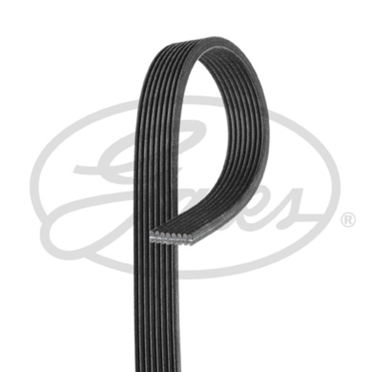 Image of V-riem