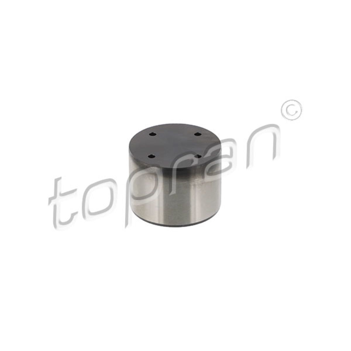 Image of Taster, hogedrukpomp