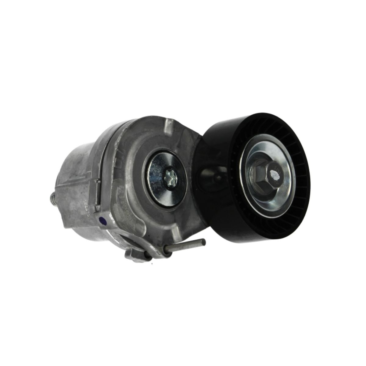 Image of Spanpoelie, V-riem