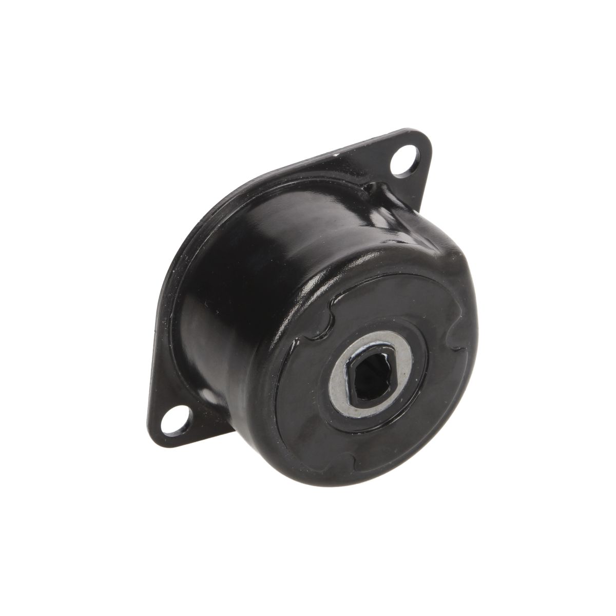 Tendicinghia, cinghia a V INA 534 0172 10