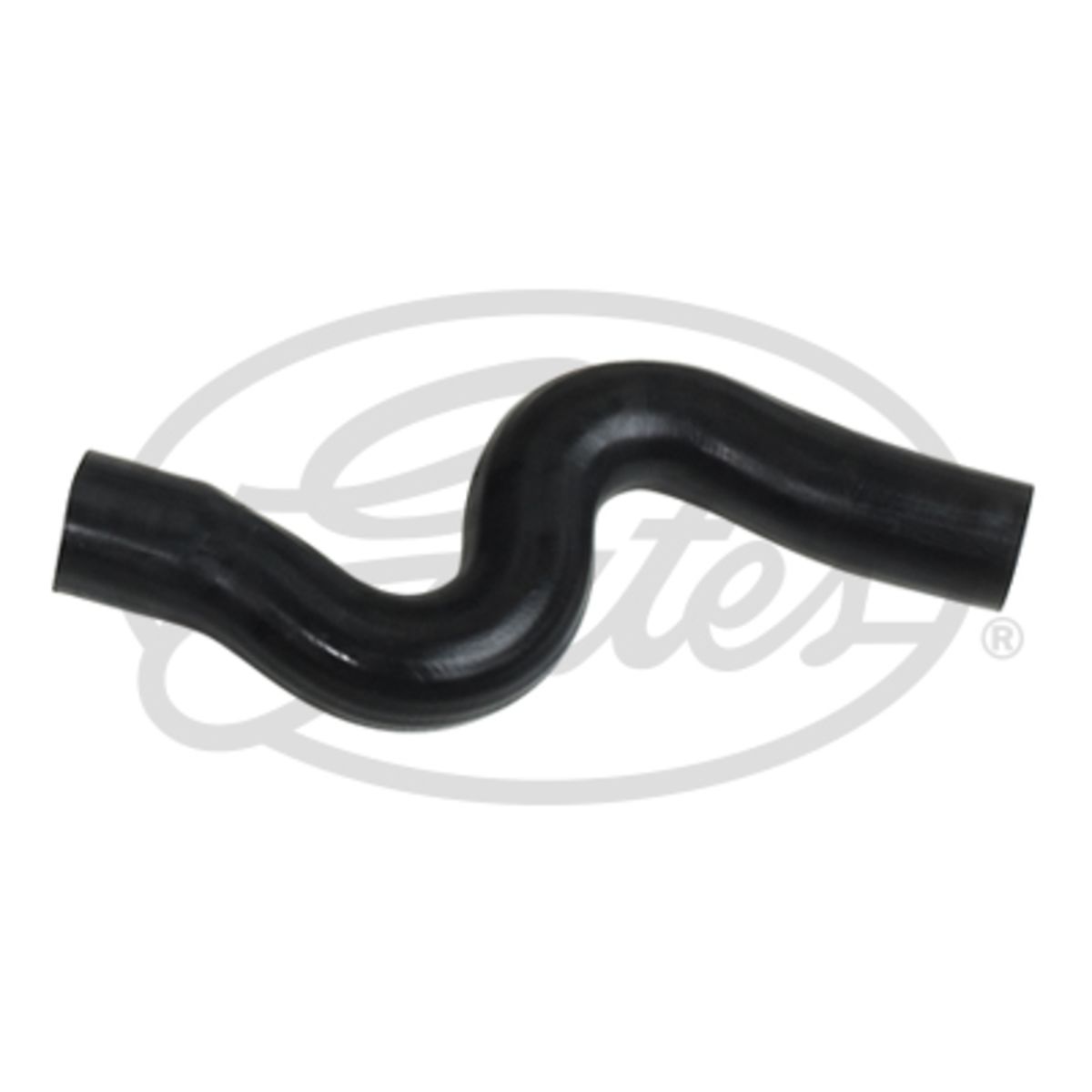 Image of Radiatorslang