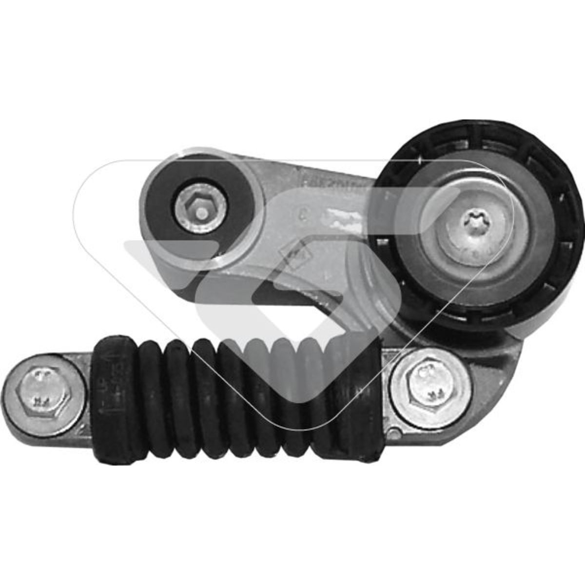 Image of Spanpoelie, V-riem
