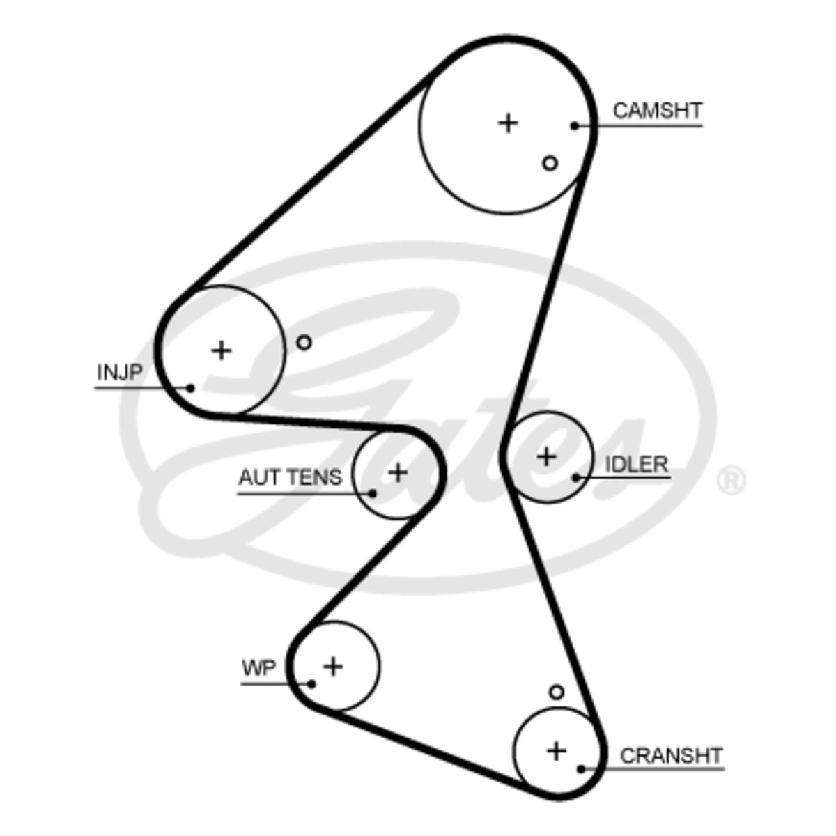 Image of Distributieriem  GAT