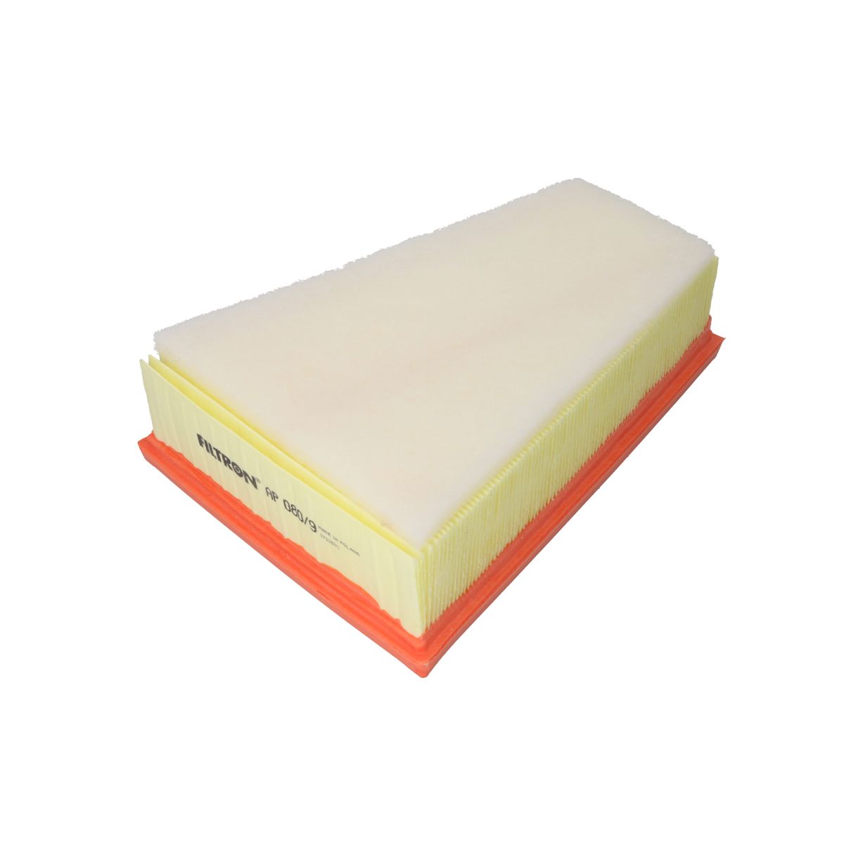 Filtron Filtro Aria Ap080/9