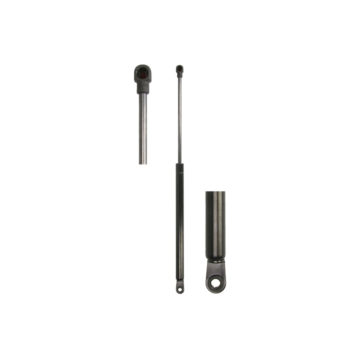 Gasfeder, Koffer-/Laderaum MONROE MaxLift MONROE ML6595