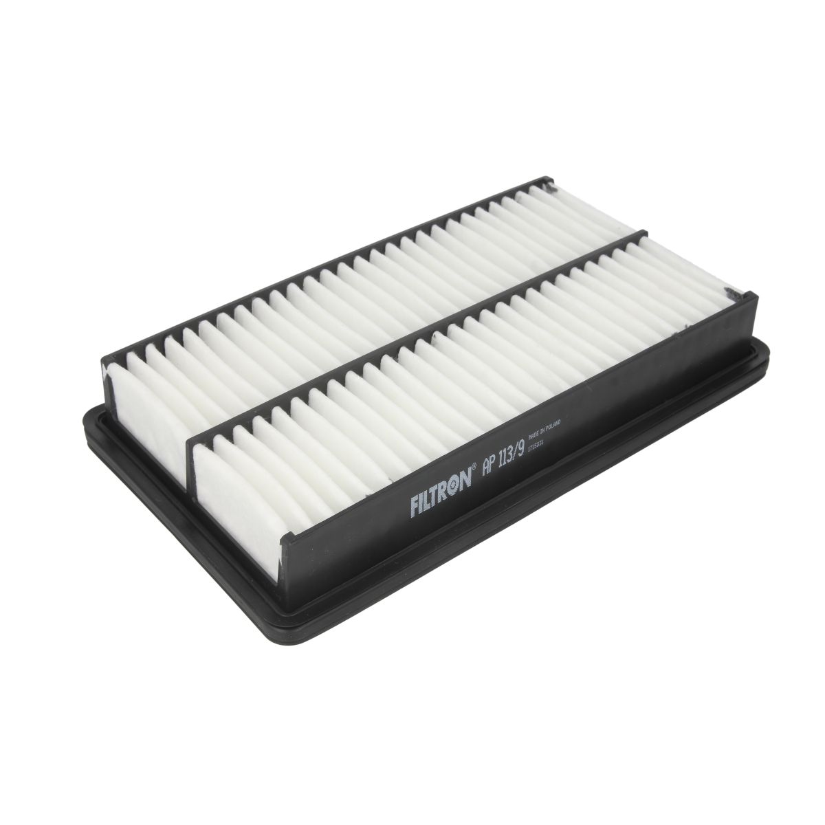 Filtron Filtro Aria Ap113/9