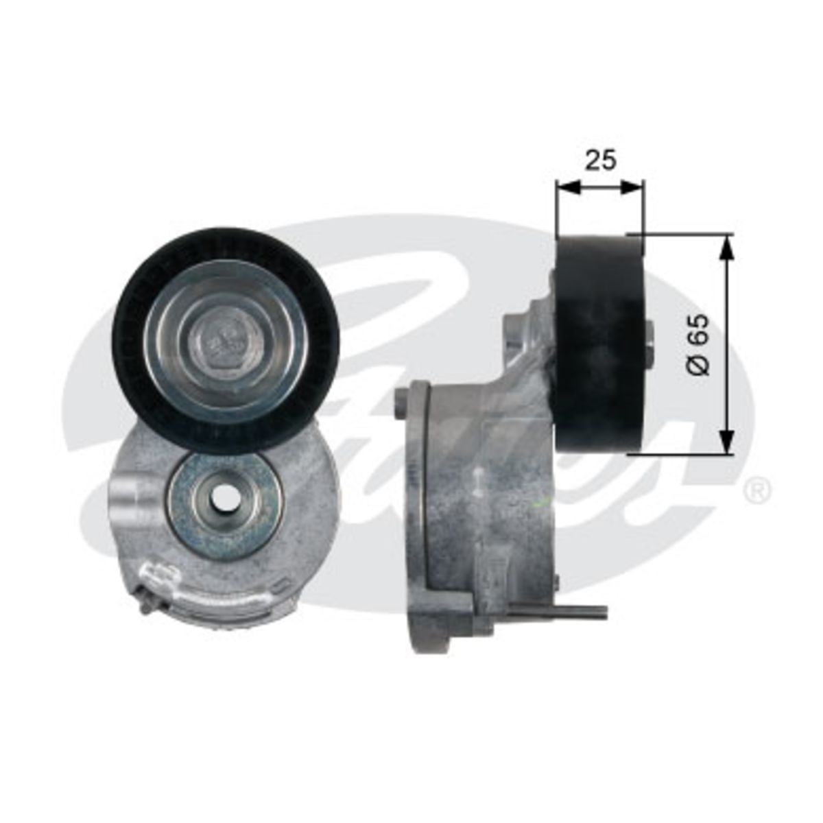 Image of Spanpoelie, V-riem