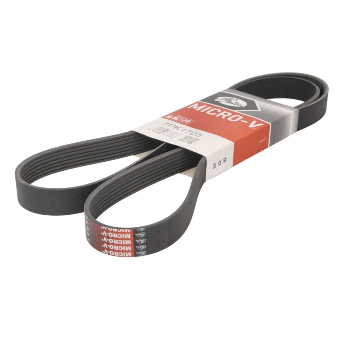 Nero Cinghia Poly-V Gates 7Pk1705