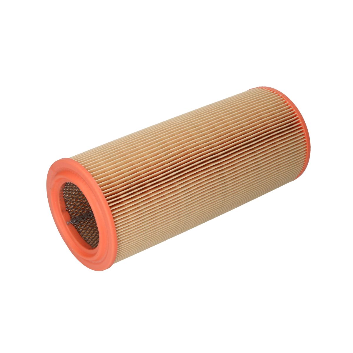 Filtron Filtro Aria Ar234/2