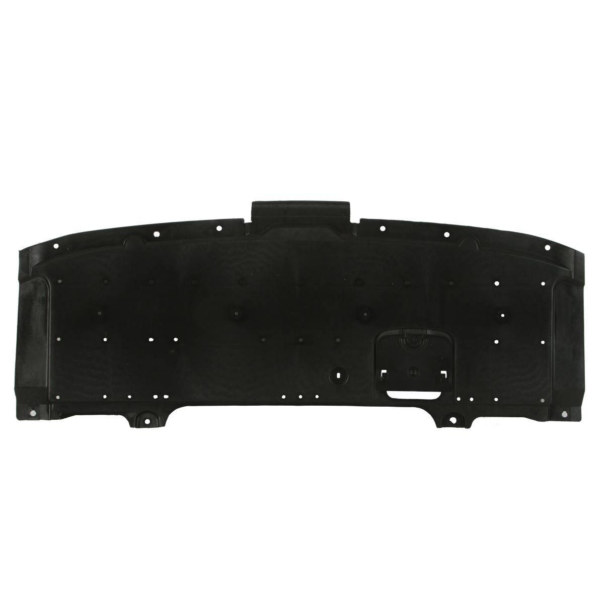 Blic Coperchio Del Motore 6601-02-3496860P