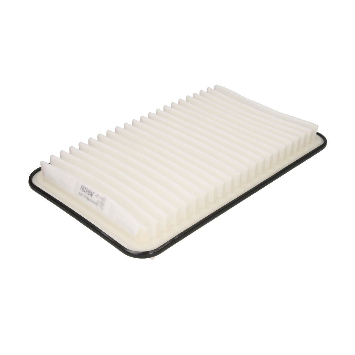 Filtron Filtro Aria Ap144/1