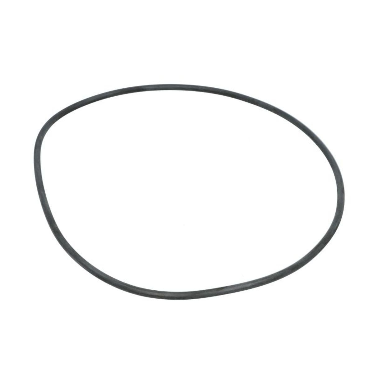 Euroricambi Getriebe O-Ring 95536282
