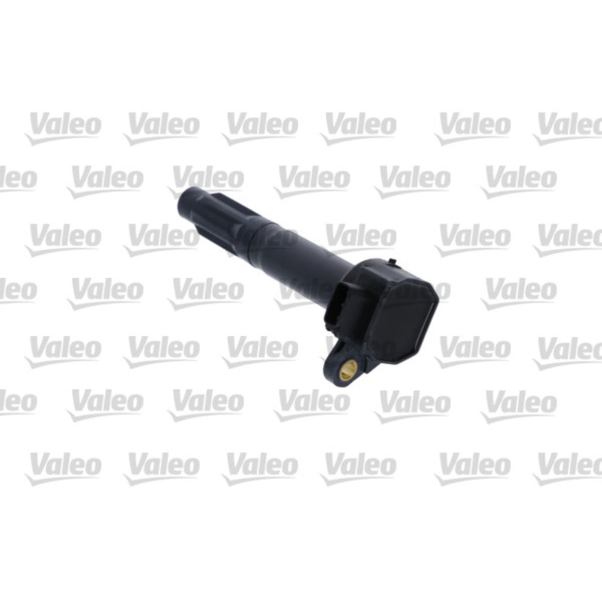 Image of Bobine