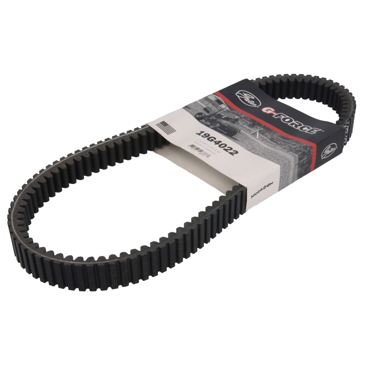 Cinghia di trasmissione GATES GAT19G4022