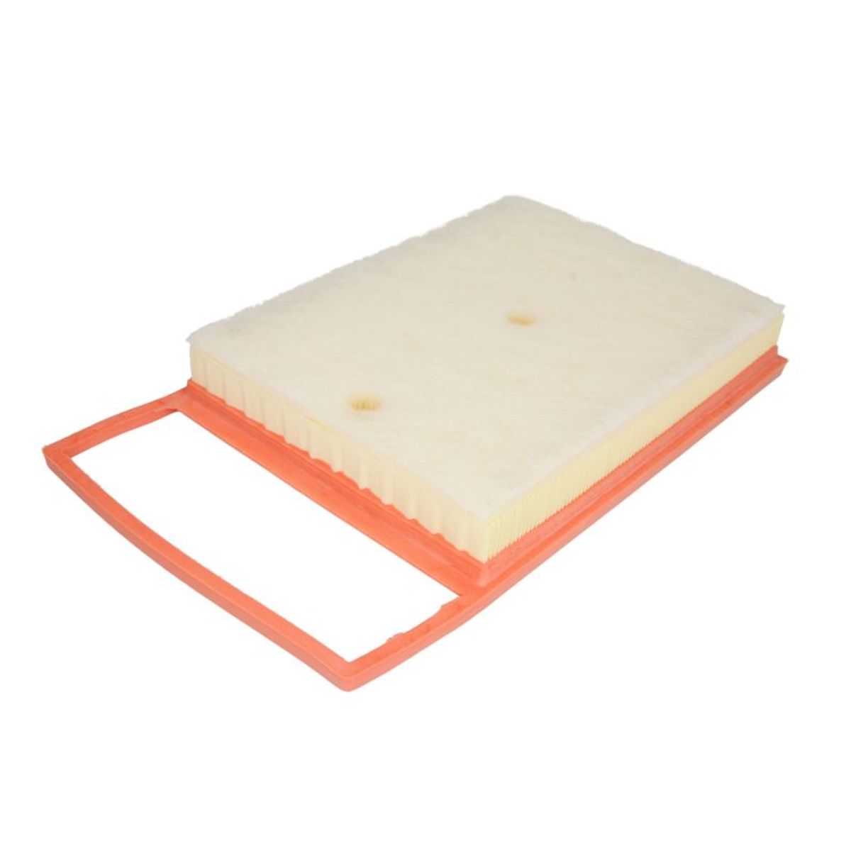 Filtron Filtro Aria Ap183/5